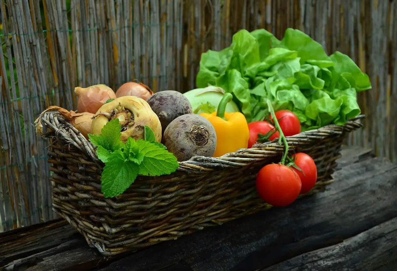 Use the vegetable garden decision checklist and mistake tracker