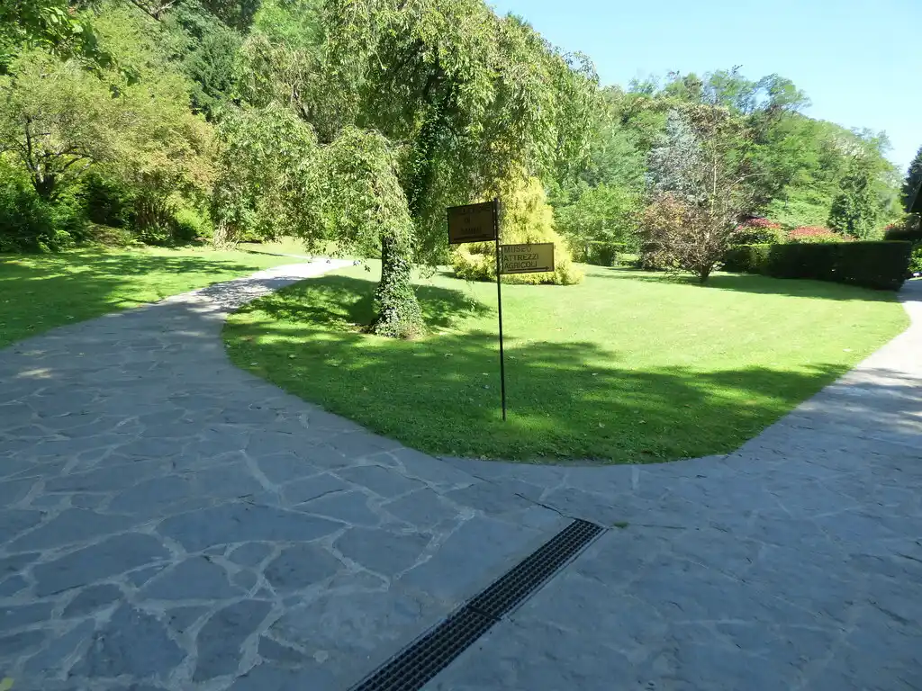Camera on a tripod beside a blooming rose arbor in a botanical garden