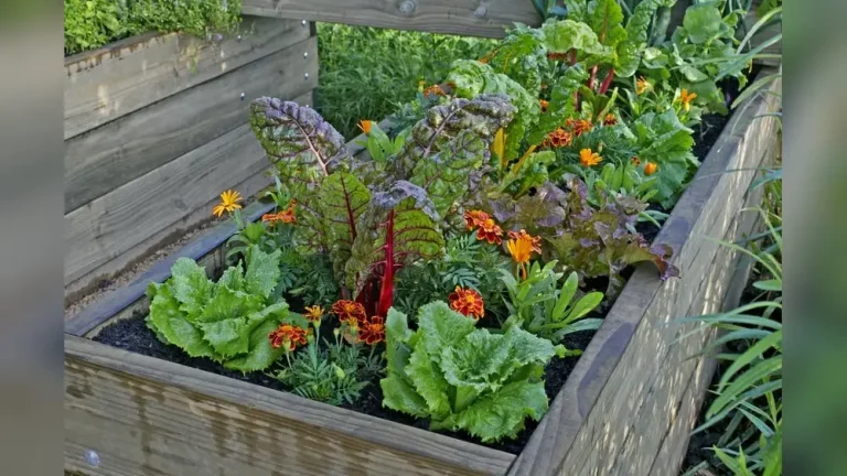 When Do Alabama Vegetable Gardens Die Out? Seasonal Guide