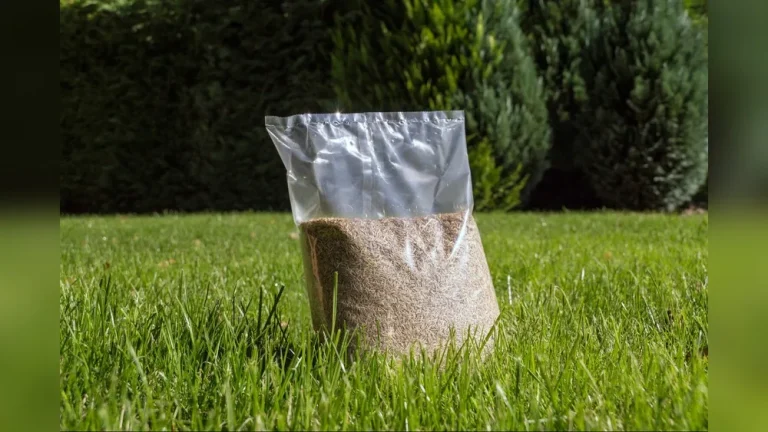 When to Plant Grass Seed in Illinois This Spring (Timing)