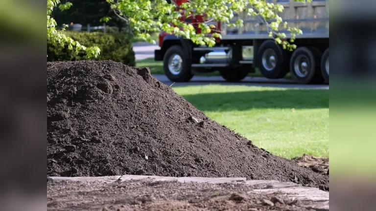 Where Can I Buy a Truckload of Soil for Gardening?