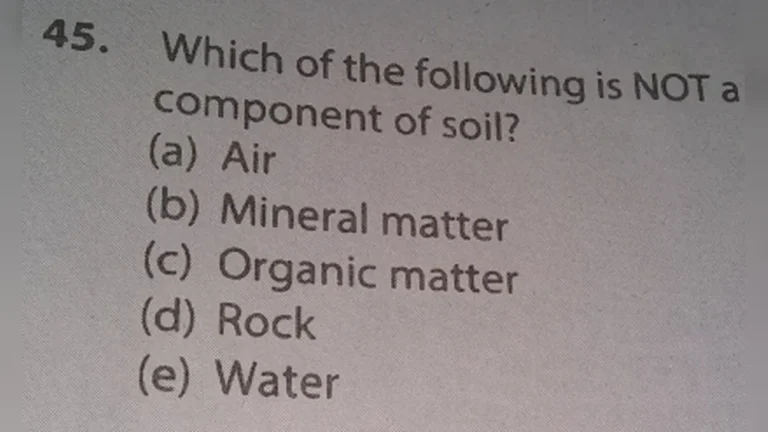 Which of the Following Is Not a Component of Soil?