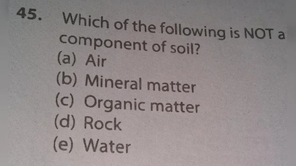 Which of the Following Is Not a Component of Soil?