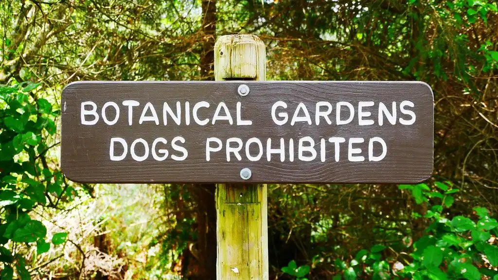 Hands with a leash and phone near a garden rules page, suggesting a quick policy check