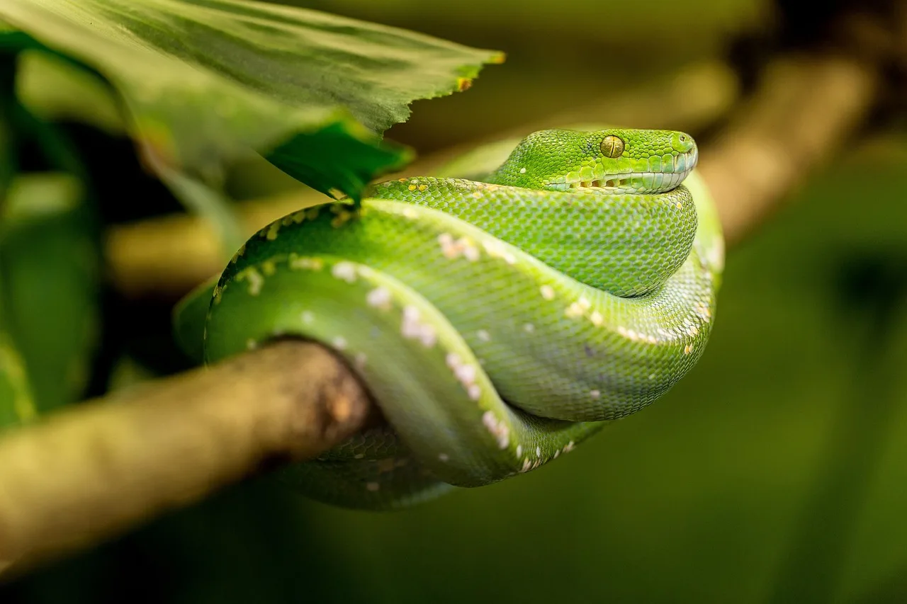 Are snake repellents safe for vegetable gardens?
