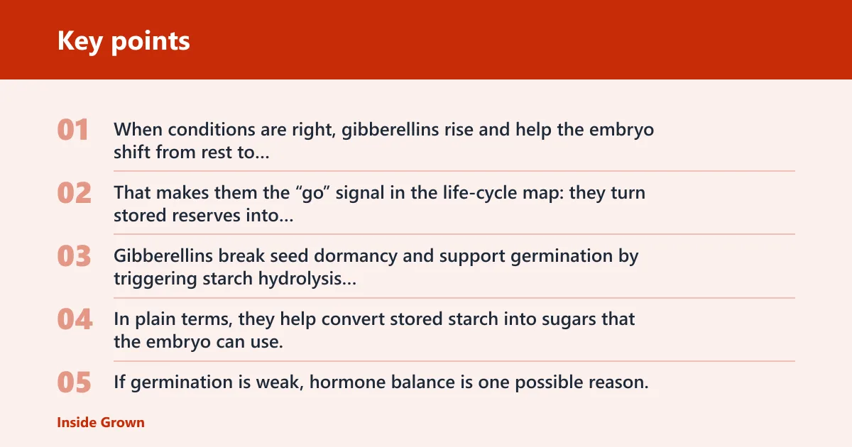 Key points: What do gibberellins do?