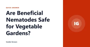 Are Beneficial Nematodes Safe for Vegetable Gardens?