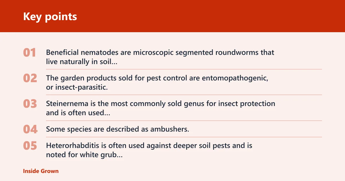 Key points: What beneficial nematodes are