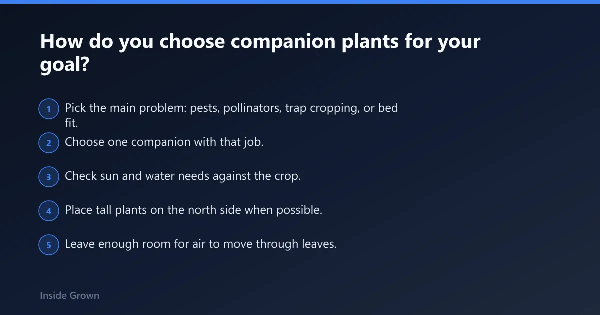Steps: How do you choose companion plants for your goal?