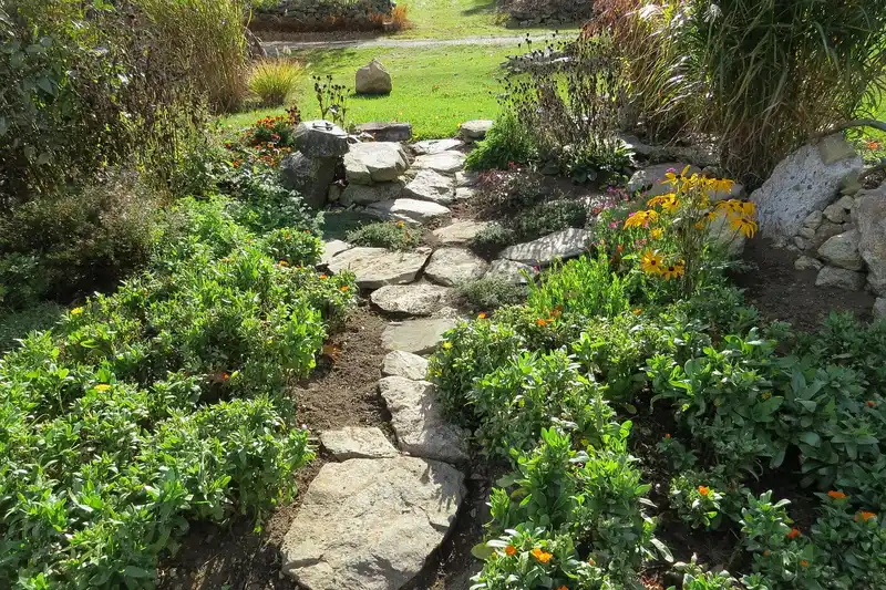 Botanical garden bed with artichokes, basil, chard, nasturtiums, and blueberry shrubs in natural light