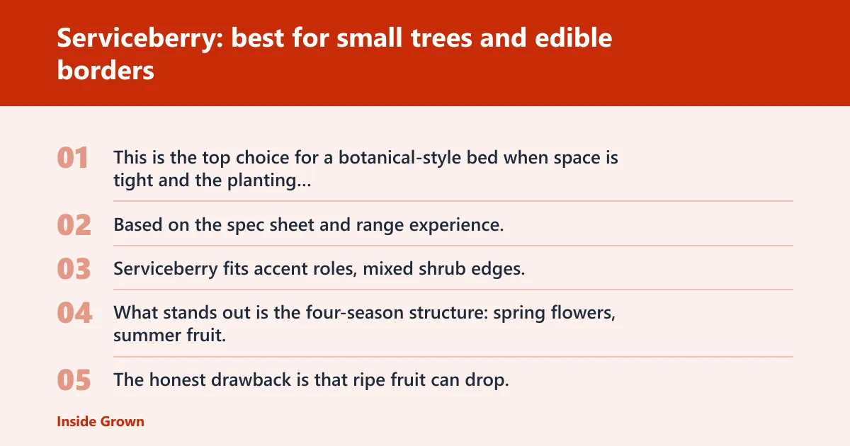 Steps: Serviceberry: best for small trees and edible borders