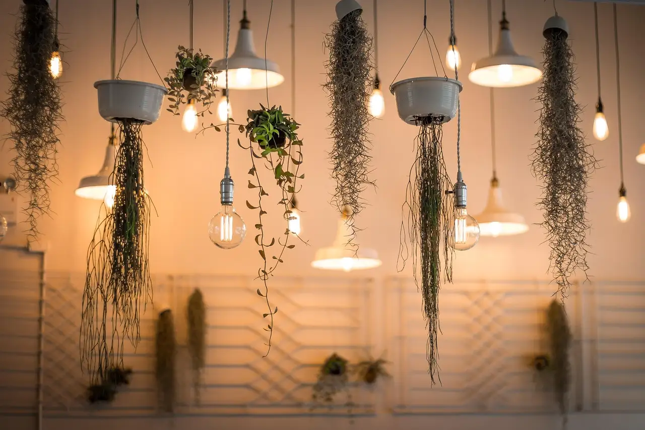 Pothos: best for flexible light