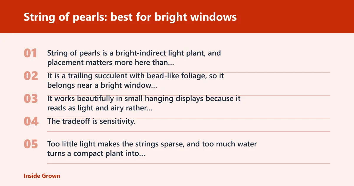 Steps: String of pearls: best for bright windows
