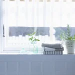 Five houseplants near a bright window in soft filtered daylight in a modern living room.
