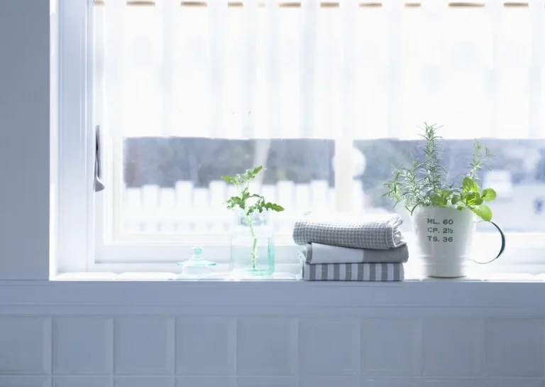 Five houseplants near a bright window in soft filtered daylight in a modern living room.