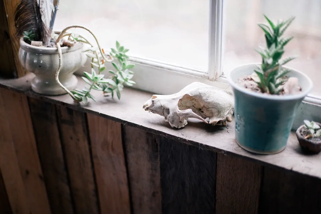 A hand checks a peace lily leaf beside a bright window with soft filtered light.
