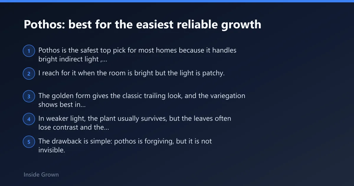 Steps: Pothos: best for the easiest reliable growth