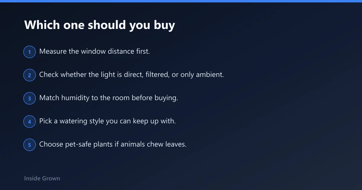 Steps: Which one should you buy