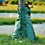 Gardener checking a drip-irrigated sandy soil vegetable bed with mulch in soft morning light
