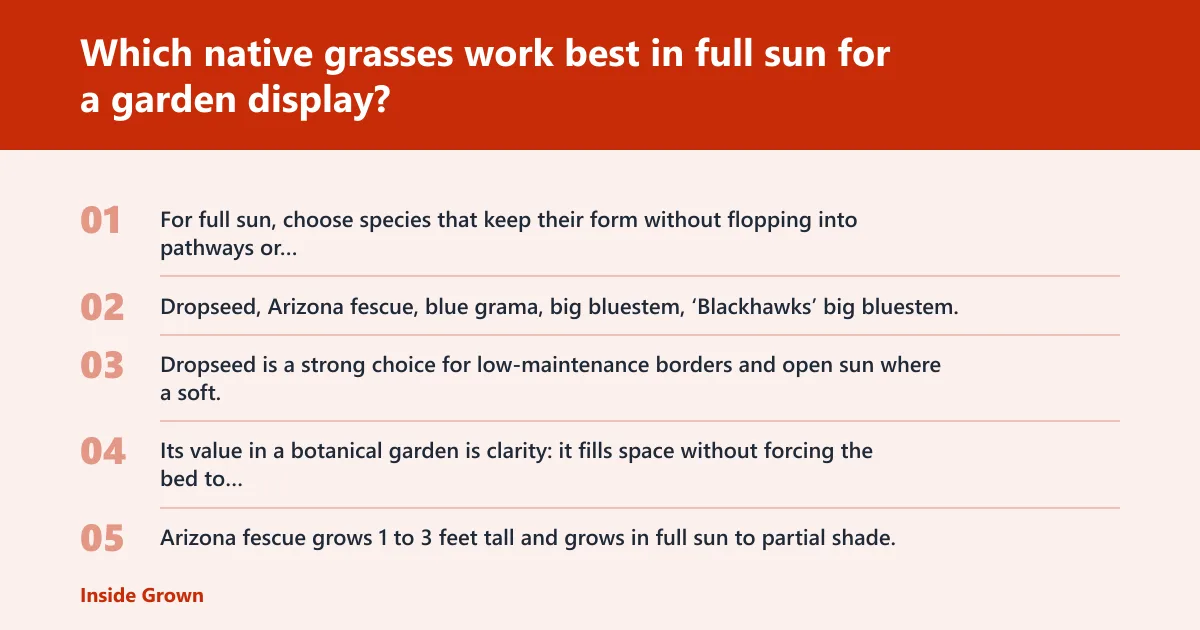 Steps: Which native grasses work best in full sun for a garden display?