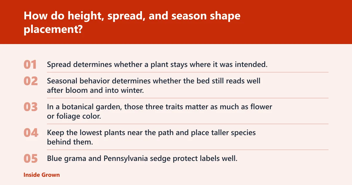 Steps: How do height, spread, and season shape placement?