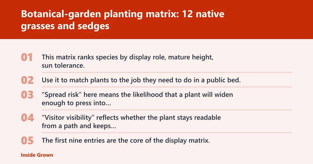 Steps: Botanical-garden planting matrix: 12 native grasses and sedges