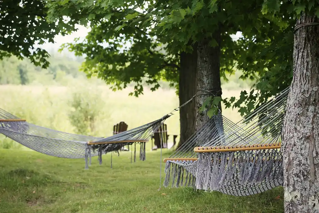 What makes a shade tree good for seating areas?