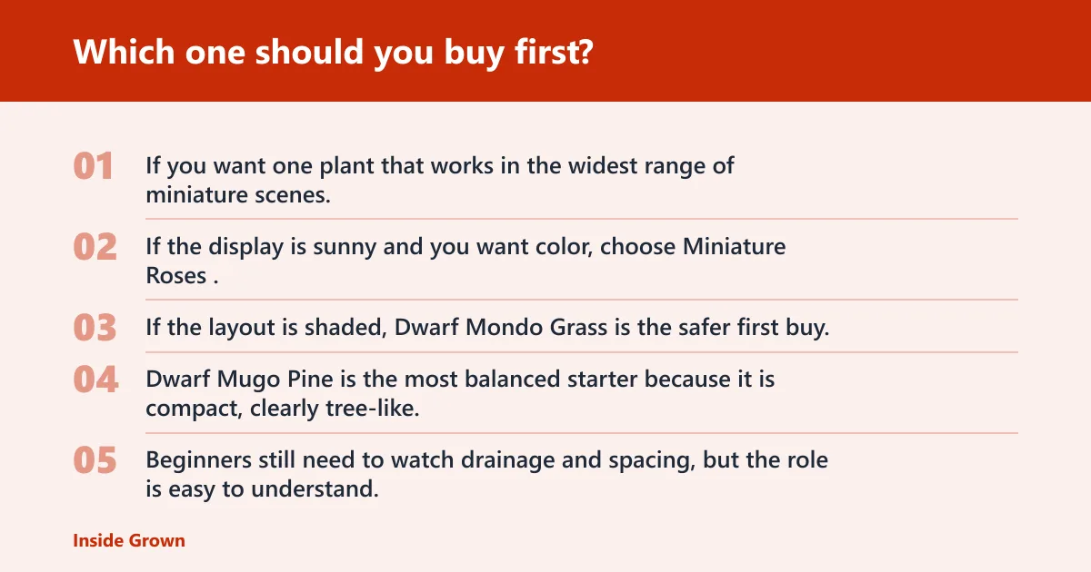 Steps: Which one should you buy first?