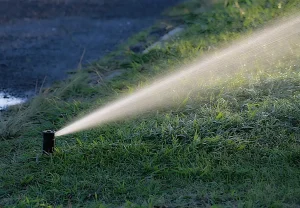 Best smart irrigation controllers for small gardens: we compared