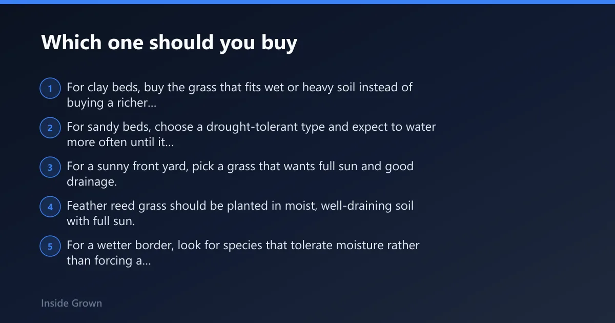 Steps: Which one should you buy