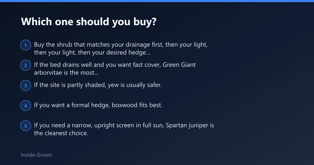 Steps: Which one should you buy?