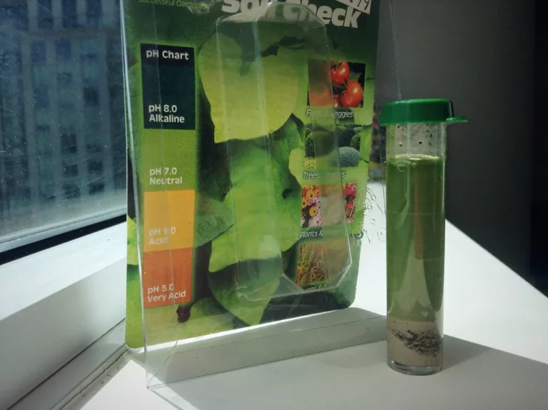 Vegetable garden bed with a soil pH meter and mixed crops in natural daylight