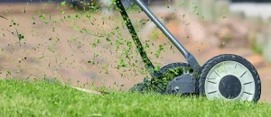 Best Time of Year to Book Landscaping Services by Project