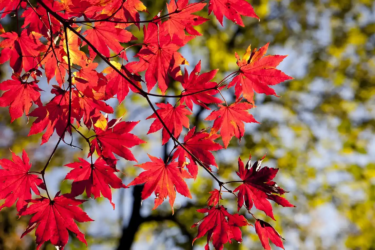 Is fall better than spring for exterior lighting installation?