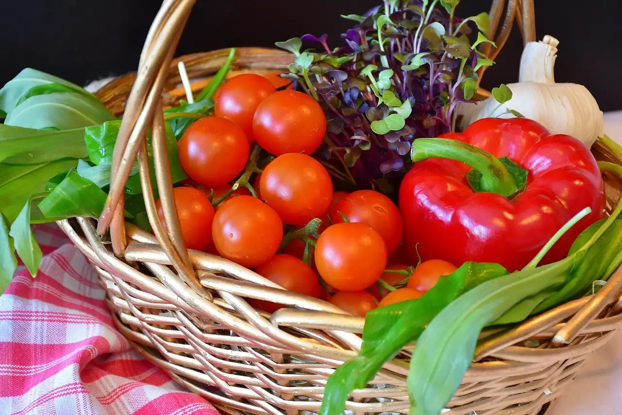 Patio containers with tomatoes, peppers, lettuce, and herbs growing in varied light conditions