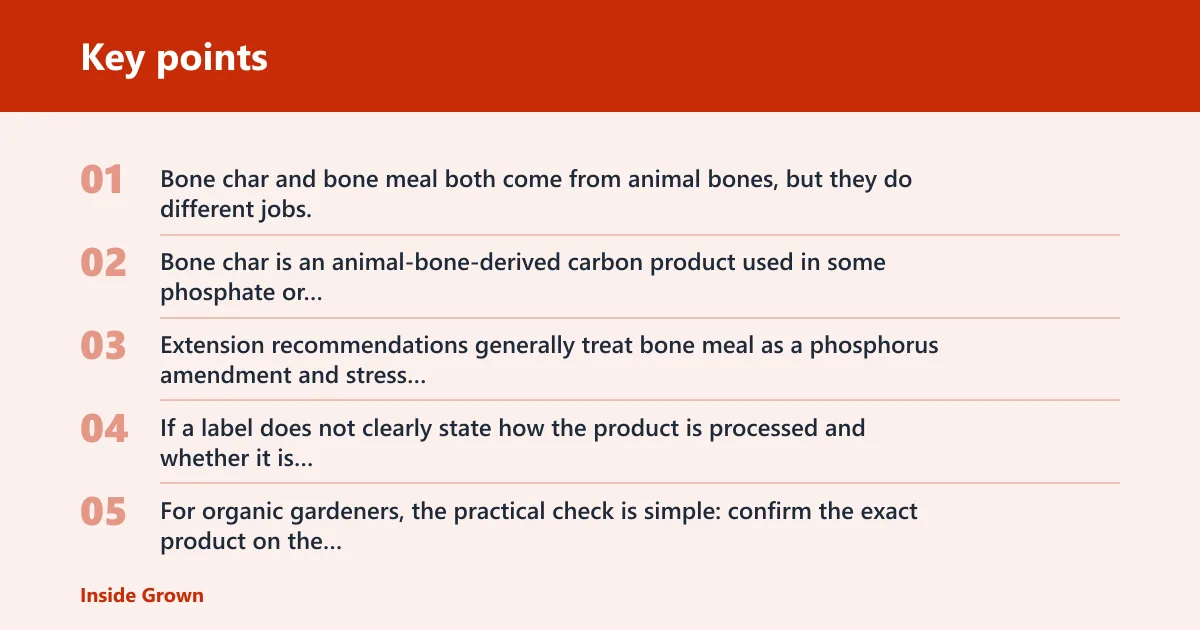 Key points: Bone char vs bone meal