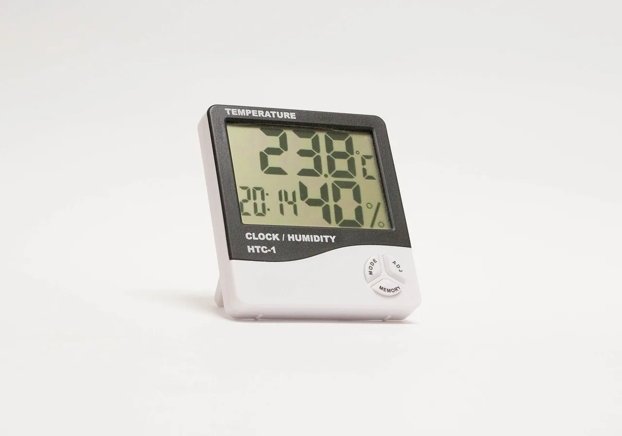 Indoor bonsai beside a pebble humidity tray and hygrometer in a bright dry room