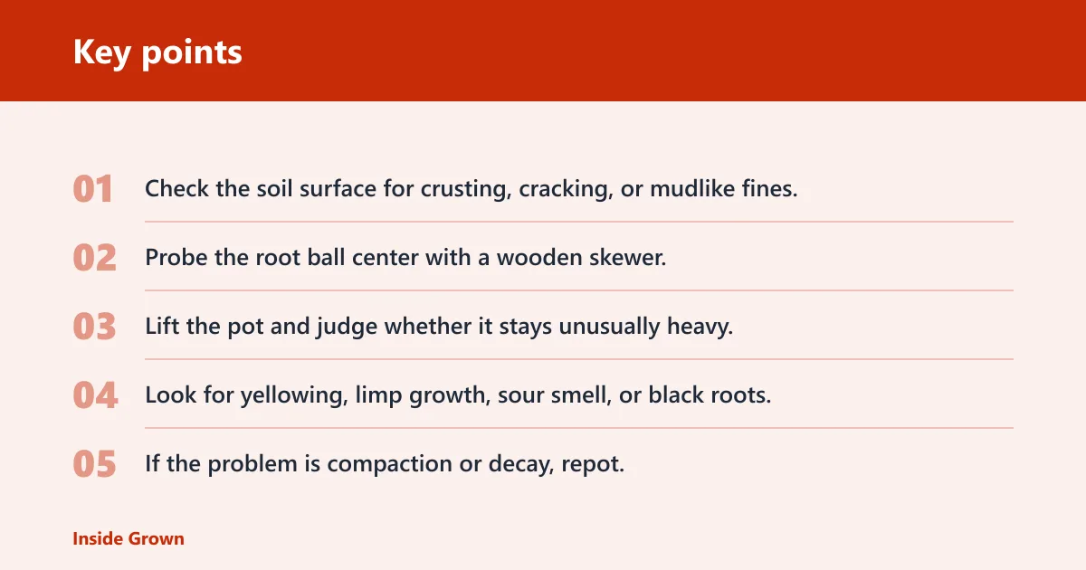 Key points: Bonsai drainage diagnosis matrix