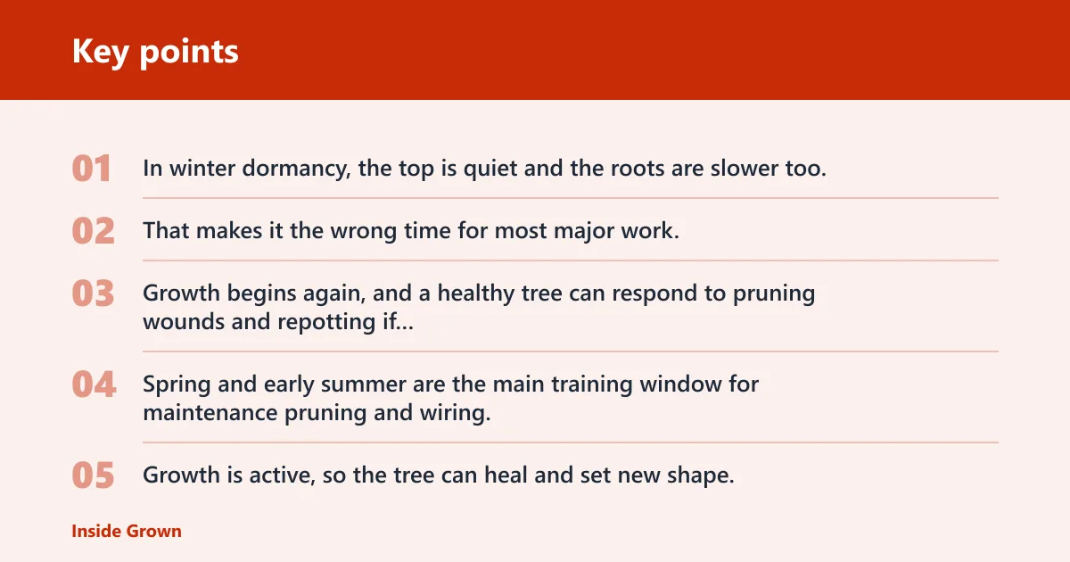 Key points: Why timing matters in bonsai training