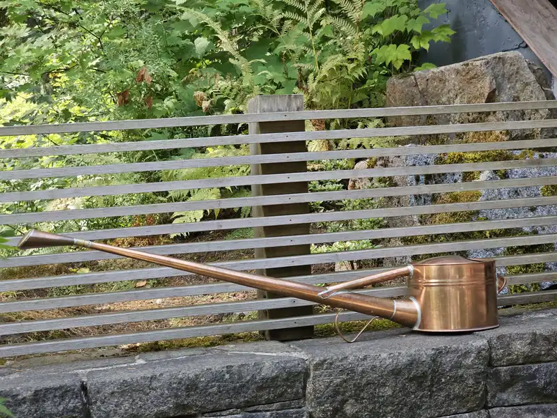 Finger checking bonsai soil moisture beside a shallow pot and watering can