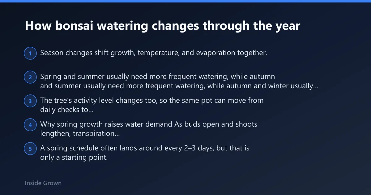 Steps: How bonsai watering changes through the year