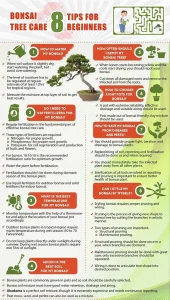 Bonsai Wiring Basics for Beginners: First Wire Choices
