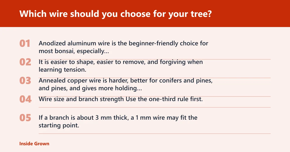 Steps: Which wire should you choose for your tree?