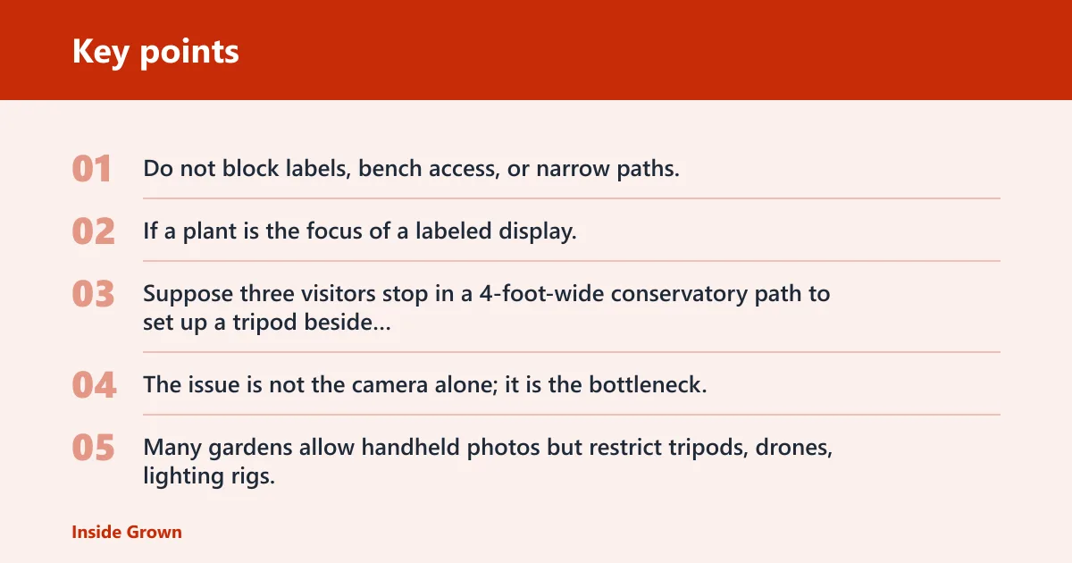 Key points: Is it okay to take photos?