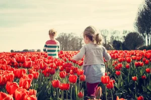 Botanical garden hours: how to check before you go