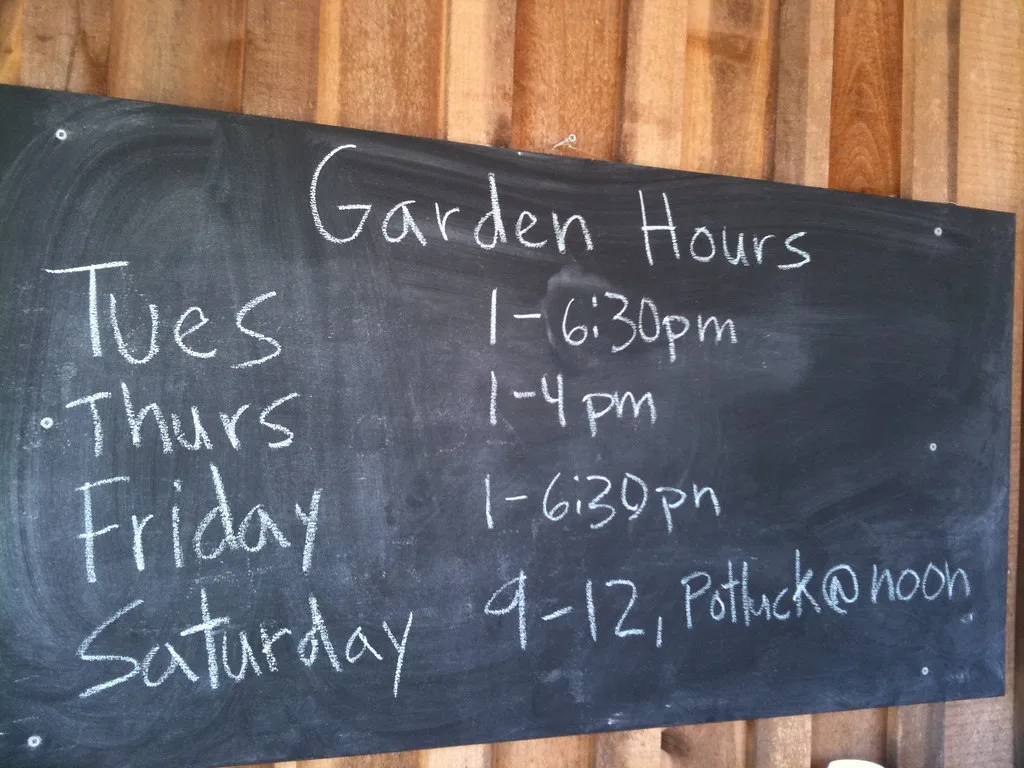 Hands on a smartphone confirming botanical garden opening time with a calendar nearby.