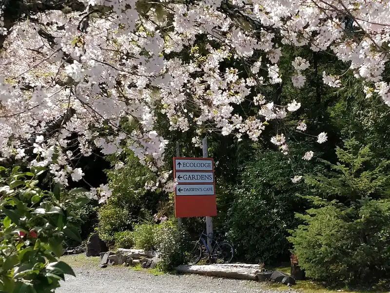Driver at a parking pay station holding a ticket and keys beside a botanical garden lot.