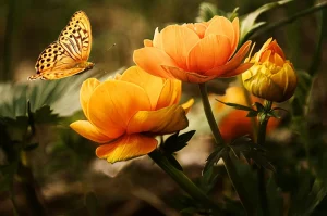 Do Botanical Gardens Host Seasonal Flower Displays?