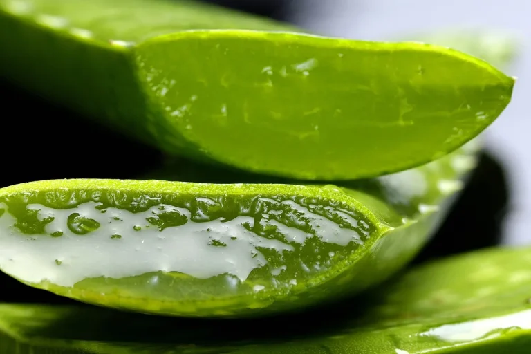 Potted aloe vera on a bright windowsill beside a thermometer in a cool room