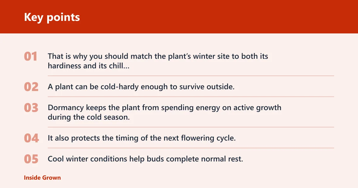 Key points: Why dormancy and chill matter